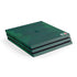 Mexico Soccer Flag PlayStation PS4 Skins